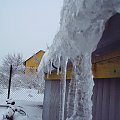 Zima napadła. I mocno zmroziła i oblodziła.
11.01.2010. Osiek k/Olkusza.