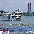 Statki na Renie w Dusseldorfie #BydgoskiWodniak #barki #żegluga #MariuszKrajczewski