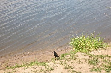 #rzeki #jeziora #morze