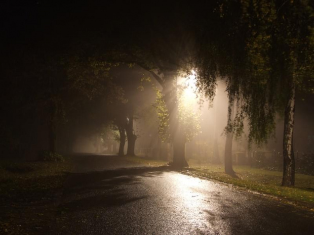 zdjęcia nocne #noc #lampa #mgła