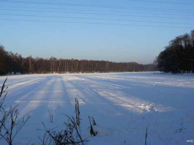 Luty - może tego nie widać ale to jest nadmorskie jezioro #GdańskStogi #jezioro #zima #luty #śnieg #las