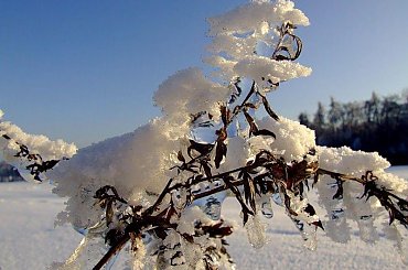 #zima #zimno #biały #biało #niebo #śnieg #lód #mróz