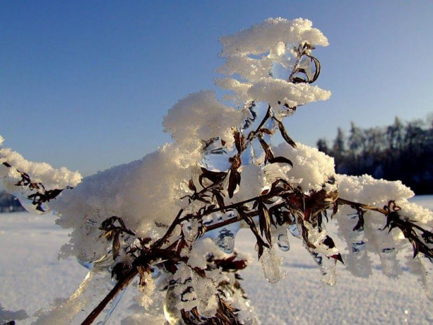 #zima #zimno #biały #biało #niebo #śnieg #lód #mróz
