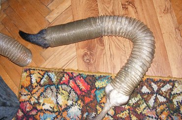 #fretka #Error #Ercio #Plastus