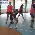 PR Dz 2010 Woj.