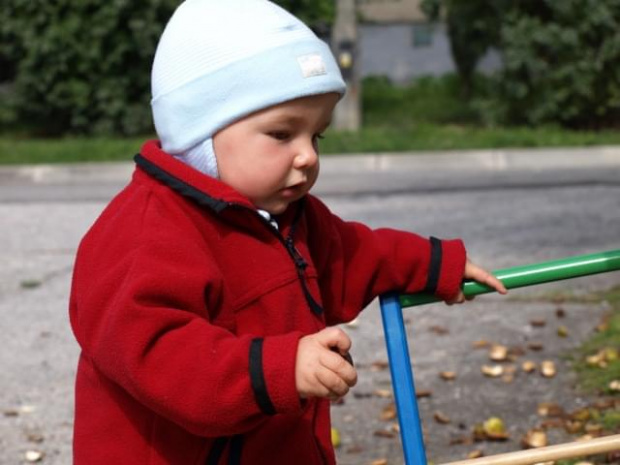 28.09.2008 - spacer - tak mi się podobają, że nie mogłam się zdecydować, które wstawić ;)