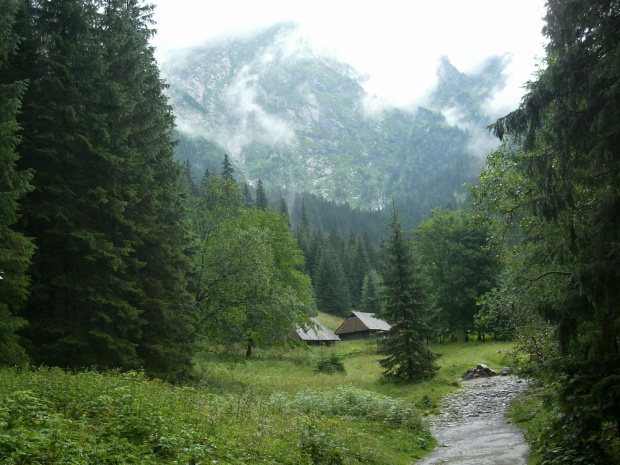 Zakopane 2009, sierpień, dolina Strążyska