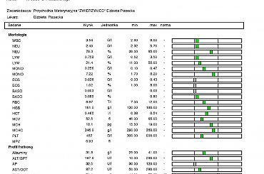badanie - krew i mocz _ 01-07-2010 #fretka #Kubuś #mocz #krew #badanie