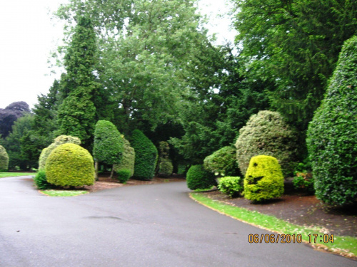 Abbey Park ,w oddali uśmiechnięty krzew..... :D