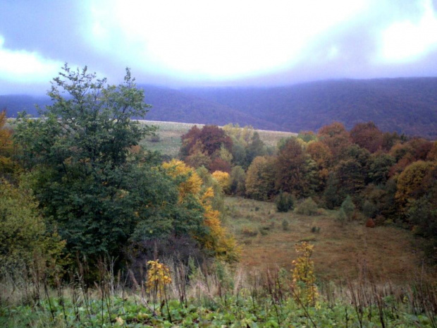 Bieszczadzkie ścieżki