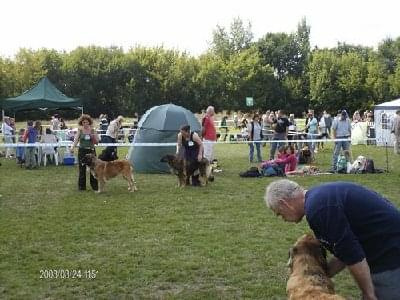 #leonberger #AptekaNatury