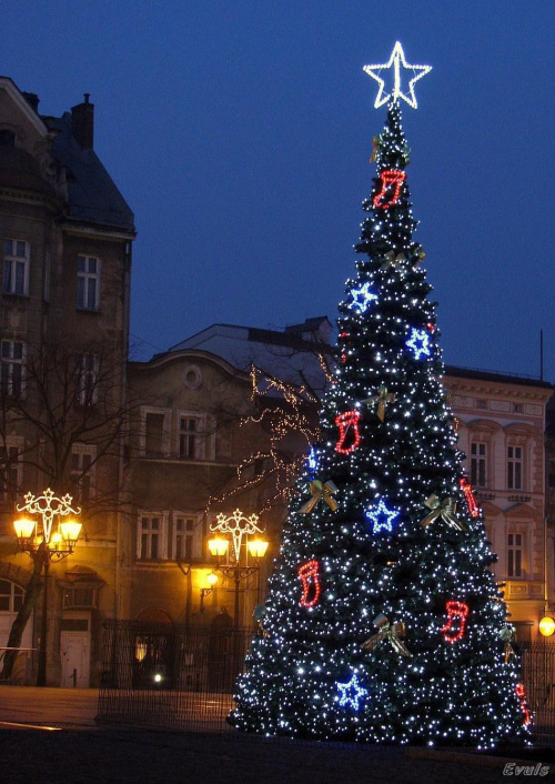 Święta 2008 Bielsko-Biała #Święta #choinka