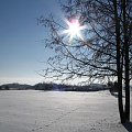 zima - okolice zamku w Chęcinach #zima #słońce #ślady #zwierzęta