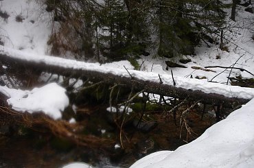 ;) #ferie #zakopane #warszawa #harenda #sheesha #narty #stok #góry #DolinaKościeliska