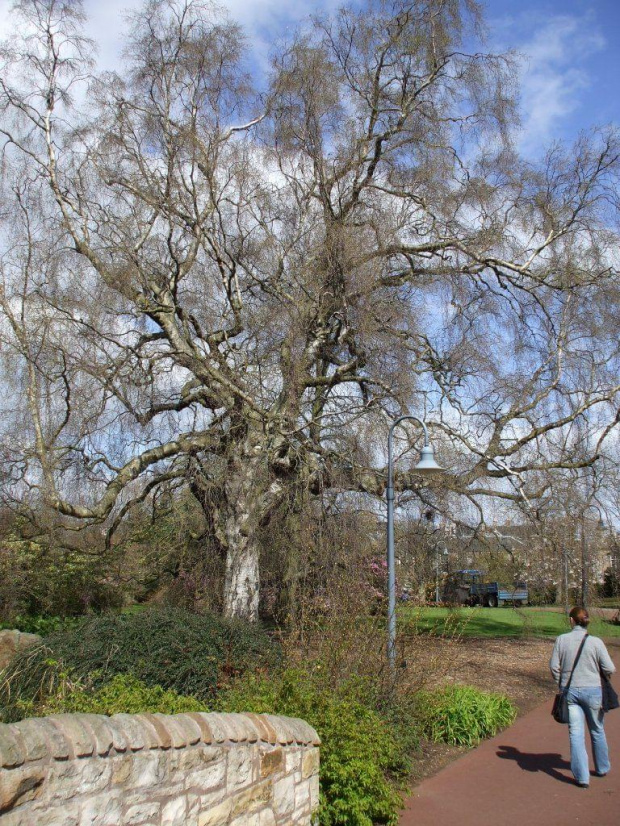 Royal Botanic Gardens