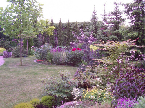 mój ogród #ogród