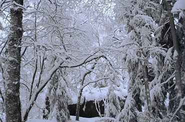 w Górach Stołowych, a konkretnie na Szczelińcu #Sudety #Stołowe #Szczeliniec