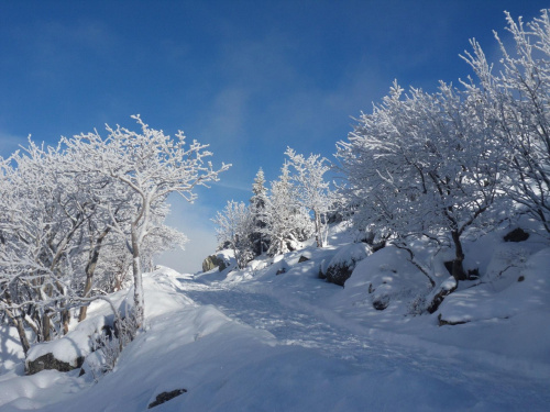Droga do Samotni.. #karkonosze #zima #góry