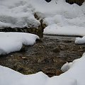 #Pieniny