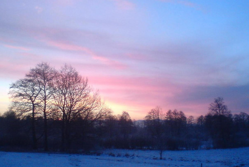 Dzisiejszy poranek. #niebo #widok #zima