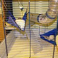 17.02.2009
