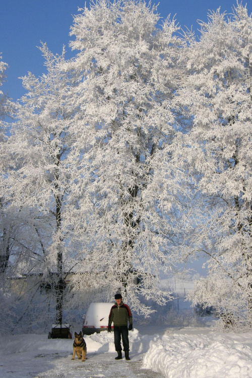 mój tata i siarzecka :) #zima #szron #drzewa