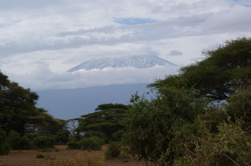 Kilimandżaro #wakacje #Kenia #góry