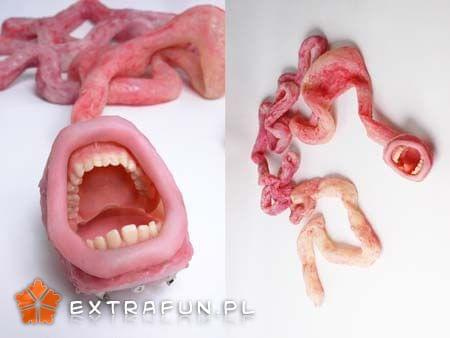 www.extrafun.pl #extrafun