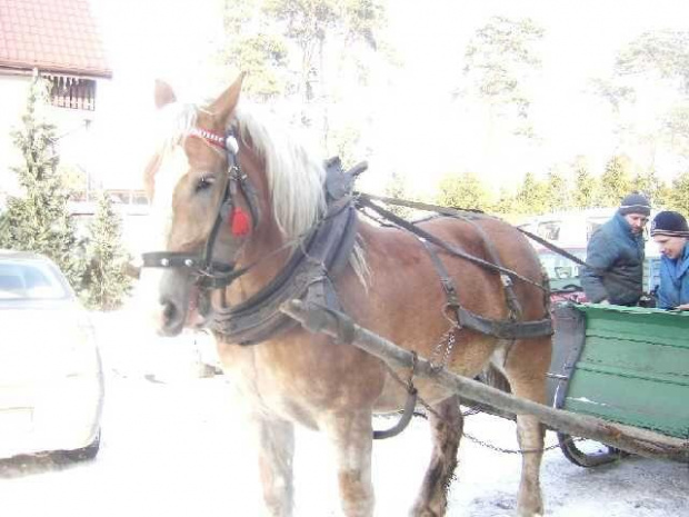 jeszcze kulig ciądniony przez konia a nie konie mechaniczne ..