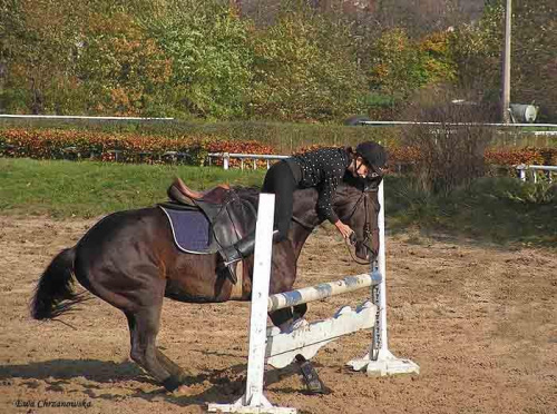 2008.10.26 Konie w Stodołach