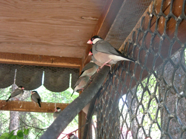 CHORZOWSKIE ZOO WYPRAWA NR 2 :]