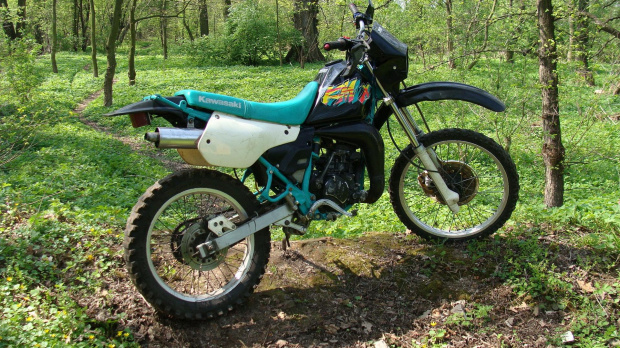 kawasaki kmx "MANIX_MEBLE" #KawasakiKmxAllegro