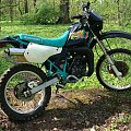 kawasaki kmx "MANIX_MEBLE" #KawasakiKmxAllegro