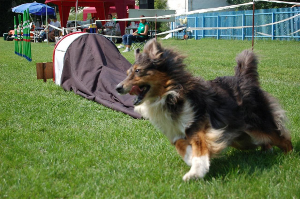 PP Agility Białystok 22.07.2007