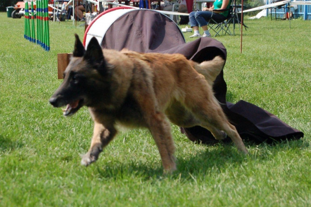 PP Agility Białystok 22.07.2007