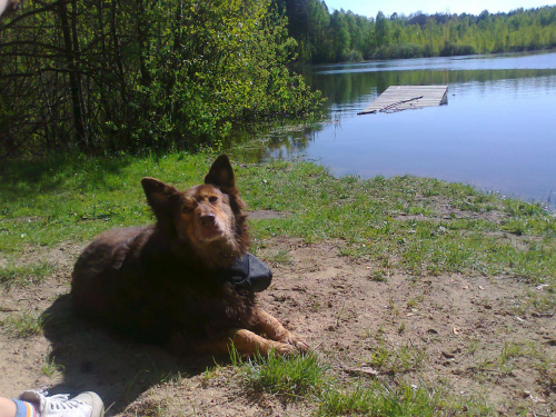 maj 2011 Stefan i labek córki Wioli