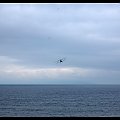 International Air Show Portrush 2007
08/09/2007 #AirShow #samolot #akrobacje #Portrush