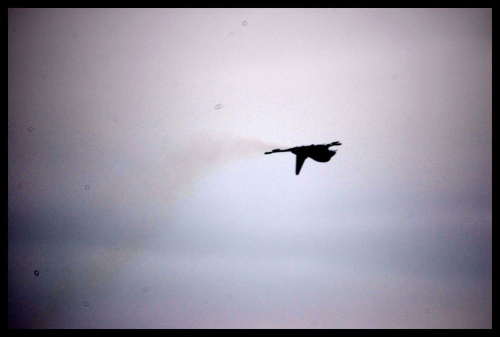 International Air Show Portrush 2007 08/09/2007 #AirShow #samolot #akrobacje #Portrush