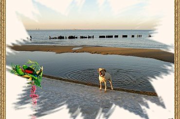 Nagle, na lodzie pokazala się "fatamorgana" a Ness zamarła zaskoczona! #PSP #NadMorzem #Ness #przeróbki