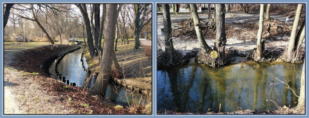 Gdańsk-Jelitkowo, w parku nadmorskim #NadMorzem #strumyk #drzewa #Gdańsk