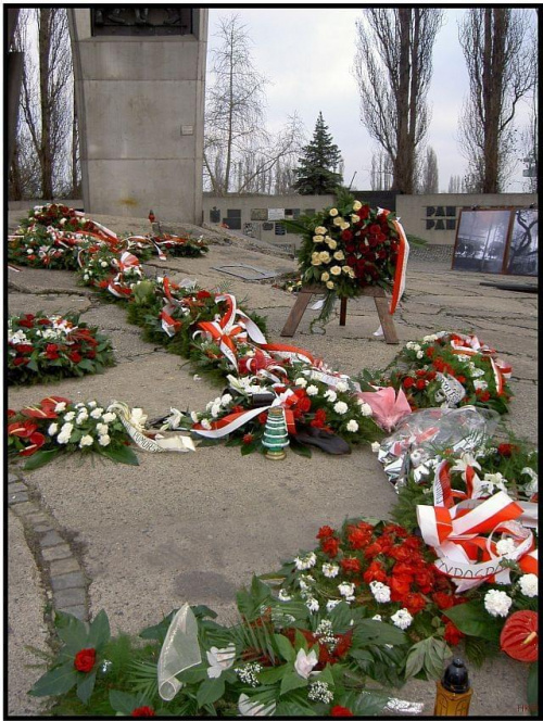 Pamięci tych, którzy zginęli, zostali ranni, byli prześladowani i tych, którzy zapomnieć nie mogą! #rocznica #Gdańsk #stoczniowcy