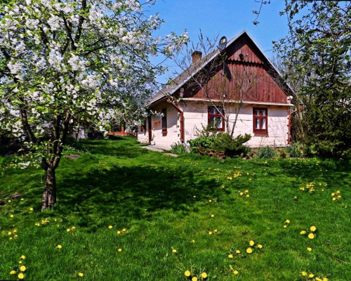 różowa chatka #wieś #wiosna #architektura