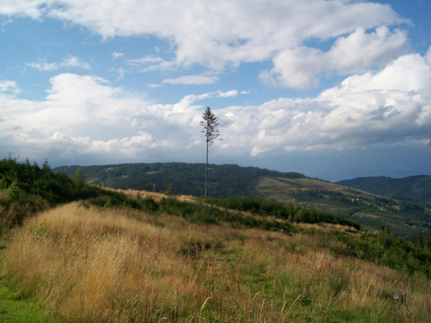 #Beskid #Polska #krajobraz #ostatni #samotność