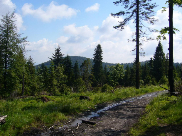 Beskid Mały,Czupel,Hrobacza Łąka,Magurka Wilkowicka,Straconka,Żarnówka Mała #BeskidMały #Czupel #HrobaczaŁąka #MagurkaWilkowicka #Straconka #ŻarnówkaMała