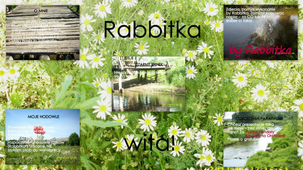 rabbitka wita #KrolikPiesZima