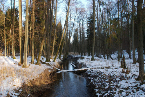 #zima #przyroda #widoki #natura