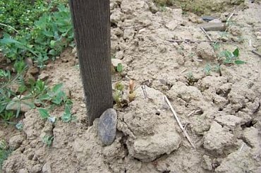 winnica Dolina Sanu #dolinasanu #san #sanok #winnica #wino