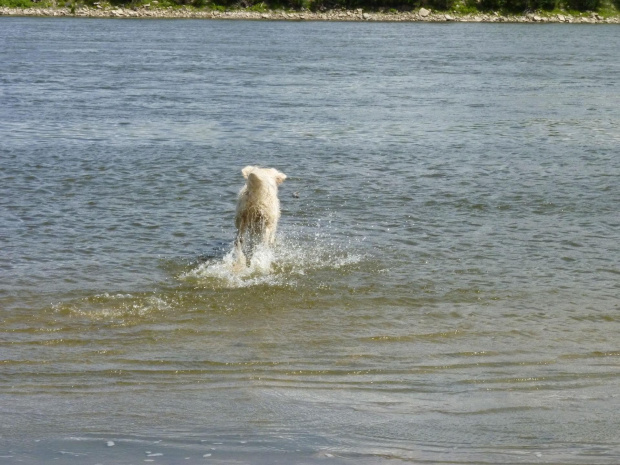 Brutus, Wisła, czerwiec 2011