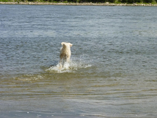 Brutus, Wisła, czerwiec 2011