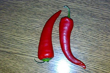 Chilli #Chilli #chili